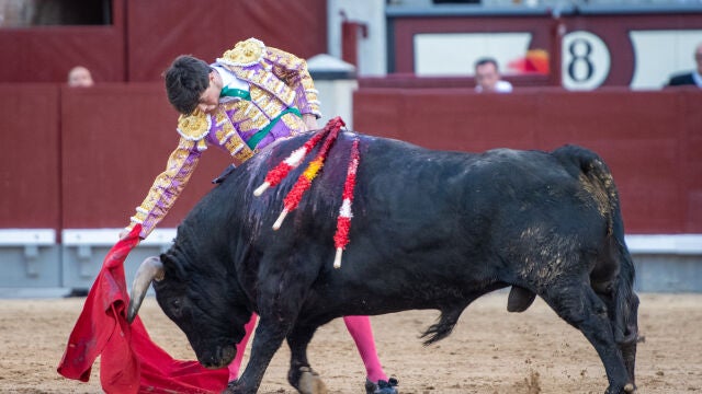Una novillada para los que quieren y pueden ser