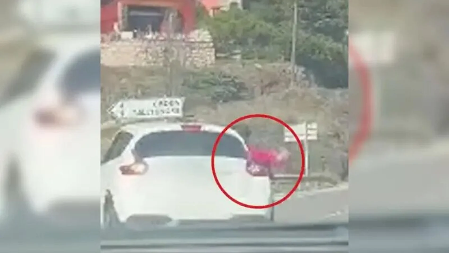 Los Mossos captan el momento en el que una niña cae de un coche en marcha en Lérida