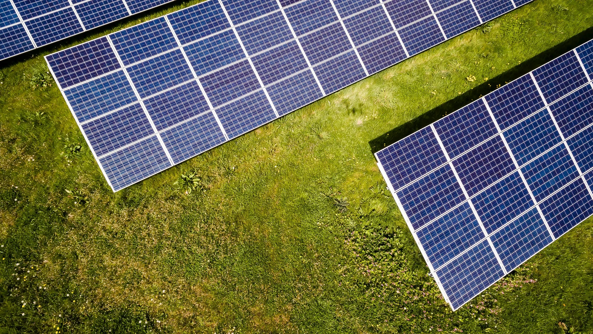 La energía solar es la tecnología con mejores expectativas entre los consumidores