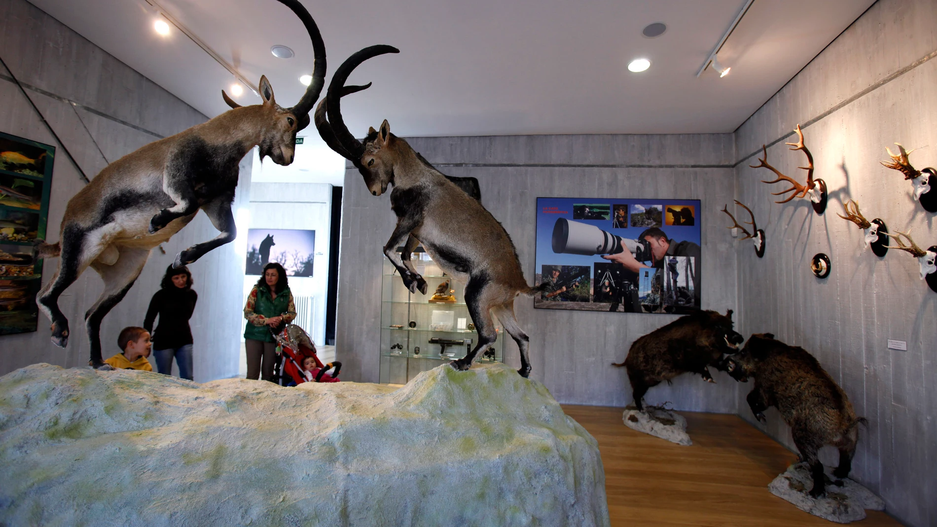 Museo de la Naturaleza de El Barraco (Ávila)