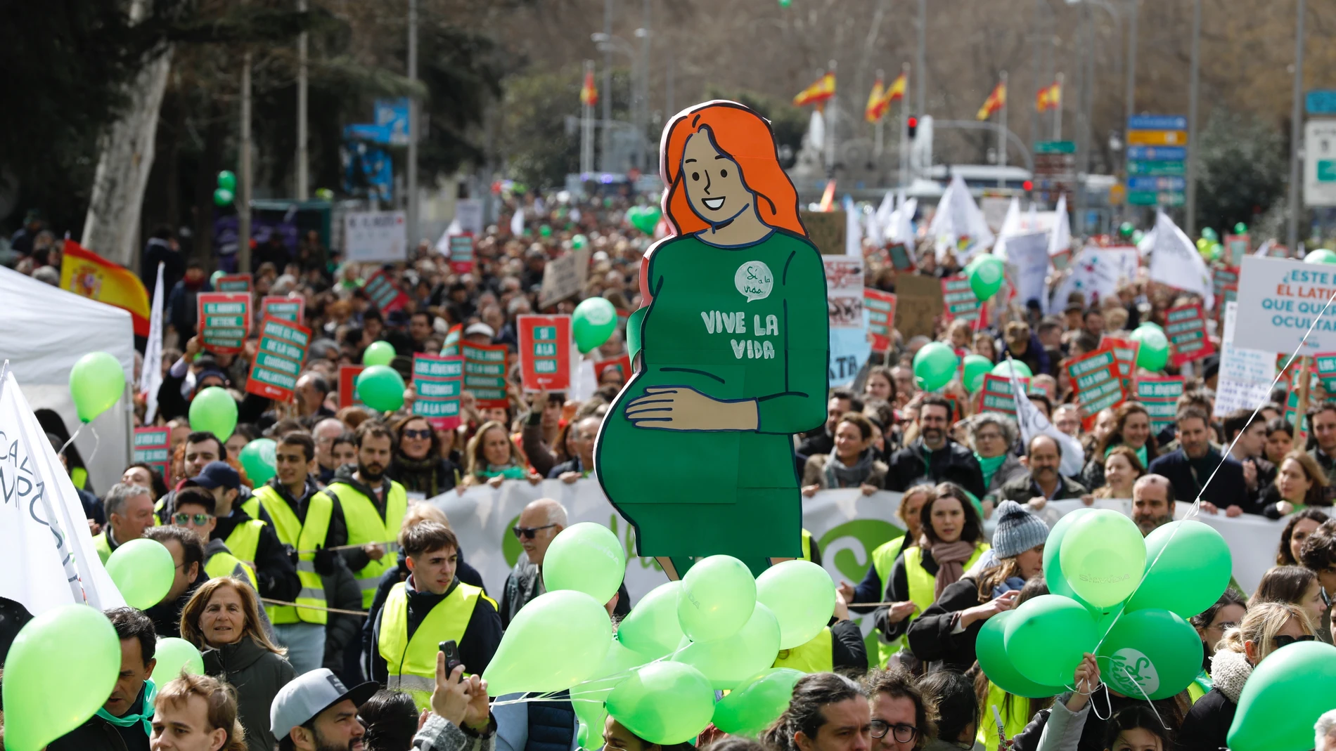 Manifestación provida y contra el aborto en Madrid