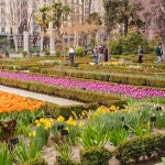 Grupo de personas en el Real Jardín Botánico de Madrid