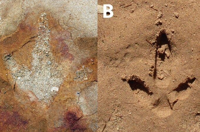 Descubren huellas de dinosaurios junto a misteriosos símbolos en Brasil