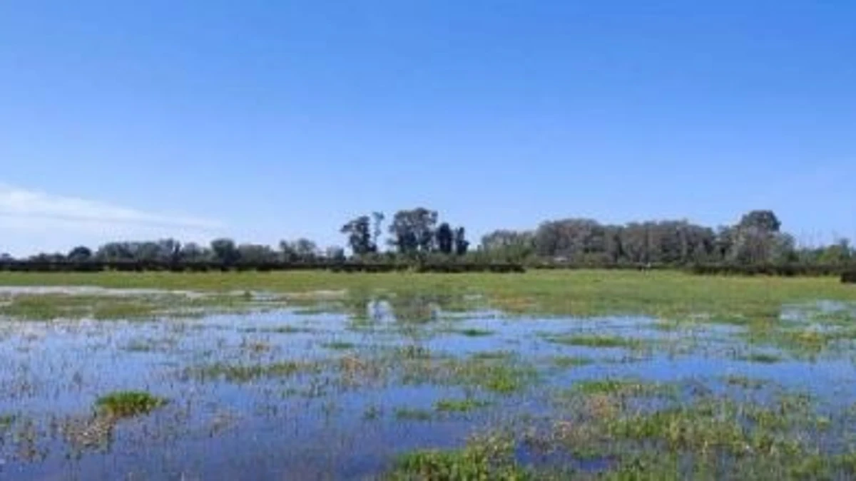 La explotación del acuífero de Doñana “está sobrepasando los límites viables”