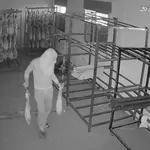 Imágenes del detenido robando varios jamones ibéricos en un almacén