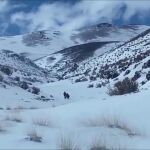Feliz rescate de una pareja de ancianos perdidos en una montaña nevada en la región chilena de Atacama
