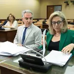 Comisión de Investigación por el ‘caso Koldo’ en el Congreso de los Diputados 