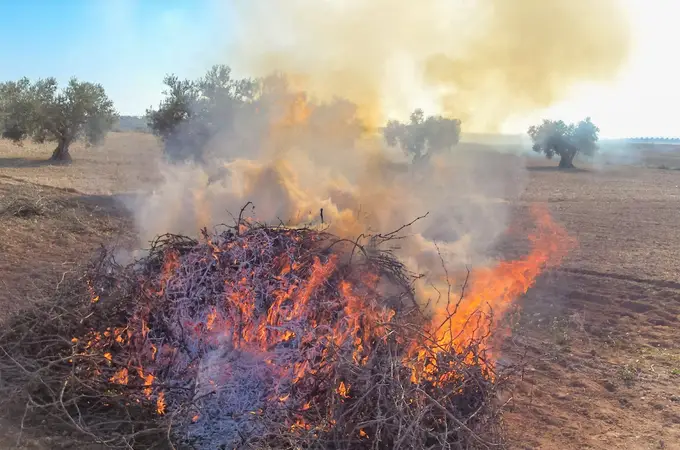 Los agricultores valencianos sobre la prohibición de quemar rastrojos: 