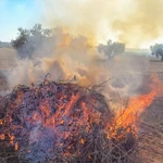 La Unió demanda un plan de quemas agrícolas adaptado a las realidades agrícolas de las zonas y a riesgos meteorológicos
