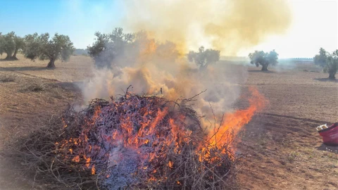 La Unió demanda un plan de quemas agrícolas adaptado a las realidades agrícolas de las zonas y a riesgos meteorológicos