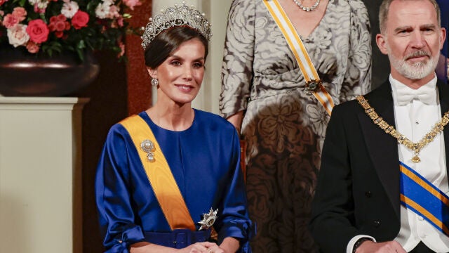 El look de la Reina Letizia en la cena de Estado en Holanda.