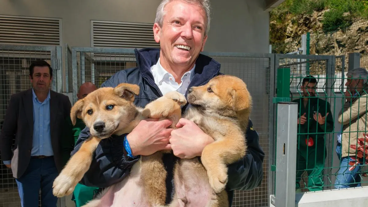 Galicia ofrece ayudas de hasta 150 euros para adoptar mascotas