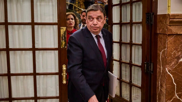 Luis Planas, durante una sesión de control al gobierno en el Congreso de los Diputados. 