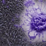 Representación de una célula con espuma morada