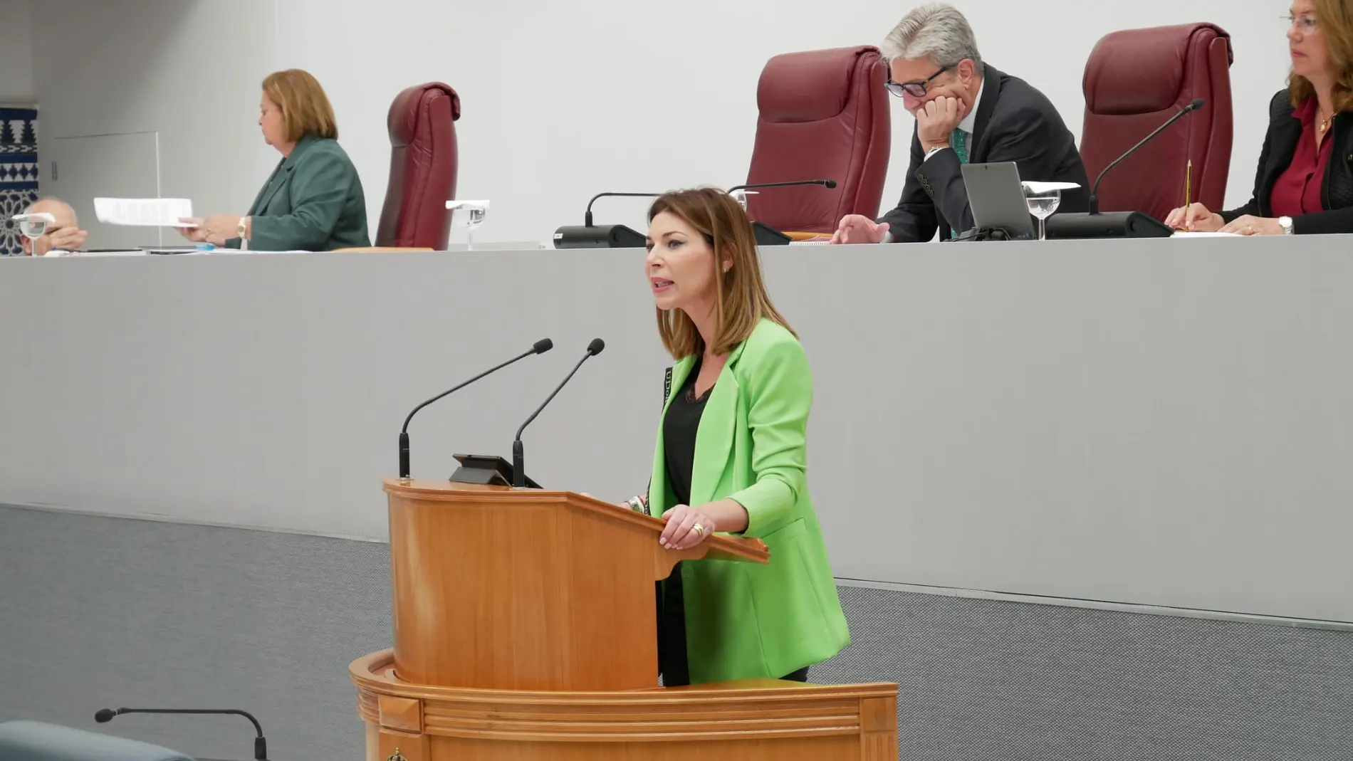 La diputada regional del Partido Popular en la Asamblea Regional, Mari Carmen Ruiz Jódar