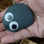 Las piedras mascota, la nueva tendencia en Corea del Sur para combatir la soledad
