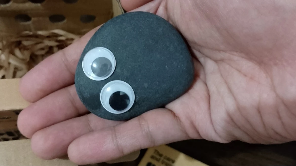 Las piedras mascota, la nueva tendencia en Corea del Sur para combatir la soledad y el estrés