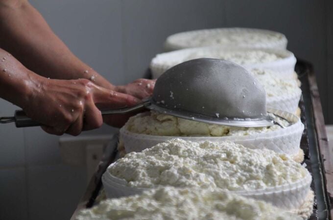 El sector del queso ha resistido con enormes dificultades por la subida de los costes de producción