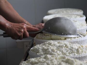 El sector del queso ha resistido con enormes dificultades por la subida de los costes de producción