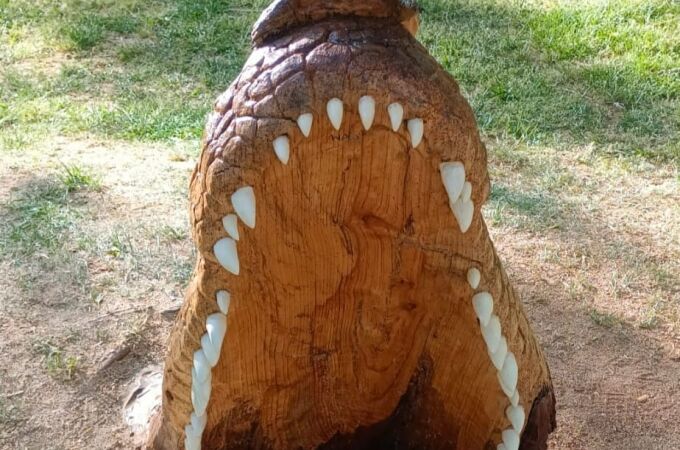 Escultura de la cabeza de cocodrilo emergiendo del agua en Zamora