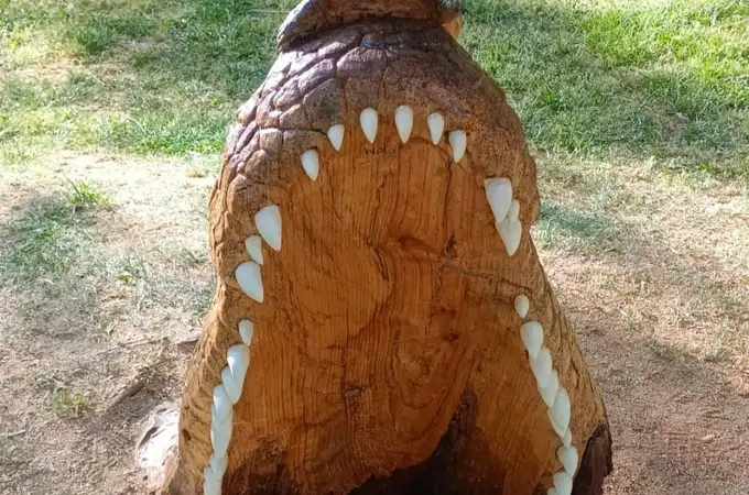Un cocodrilo emerge del Duero en Zamora