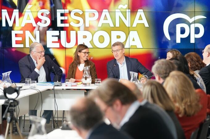 Feijóo insta al PP a lograr la concentración del voto en las elecciones europeas para "asegurar el cambio político"