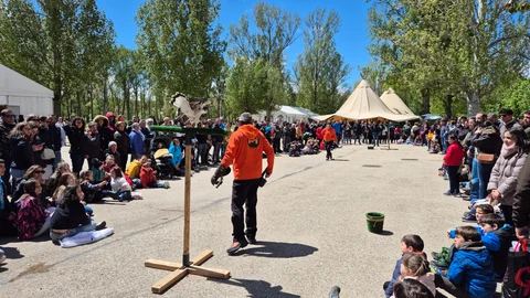 En la feria se están realizando actividades como la cetrería, agility o exhibiciones con perros de caza.