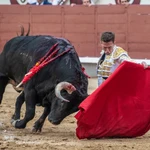 Uno de esos días de toros en Madrid