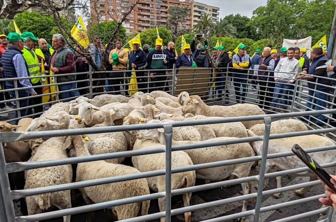 Agricultores y ganaderos de la Región de Murcia se concentran frente a la Delegación del Gobierno