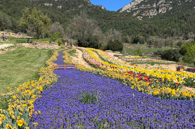 Así es Niudalia, la mayor granja de flores de Cataluña