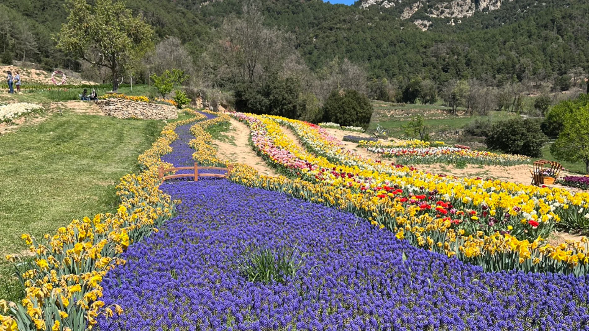 Así es Niudalia, la mayor granja de flores de Cataluña
