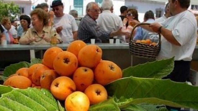 Celebración del Día del Níspero