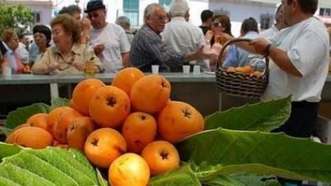 Celebración del Día del Níspero