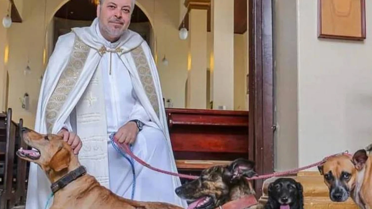 Sacerdote rescata y presenta perros abandonados en misas para su adopción, logrando que muchos consigan hogar