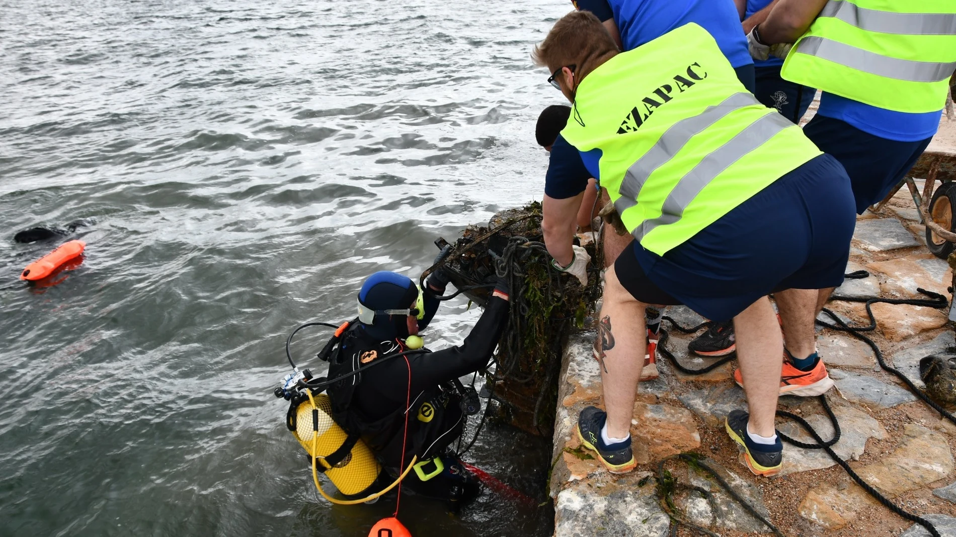 La Comunidad da luz verde a que Hippocampus limpie los fondos marinos en San Javier y Los Alcázares