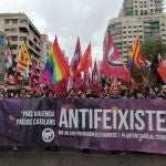 Manifestación del colectivo "antifascista"