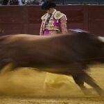El torero Ginés Marín en el Palacio de Toros de Vistalegre.