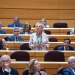 La senadora del PP, Paloma Sanz, interviene en la sesión de control al Gobierno