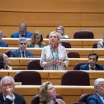 La senadora del PP, Paloma Sanz, interviene en la sesión de control al Gobierno