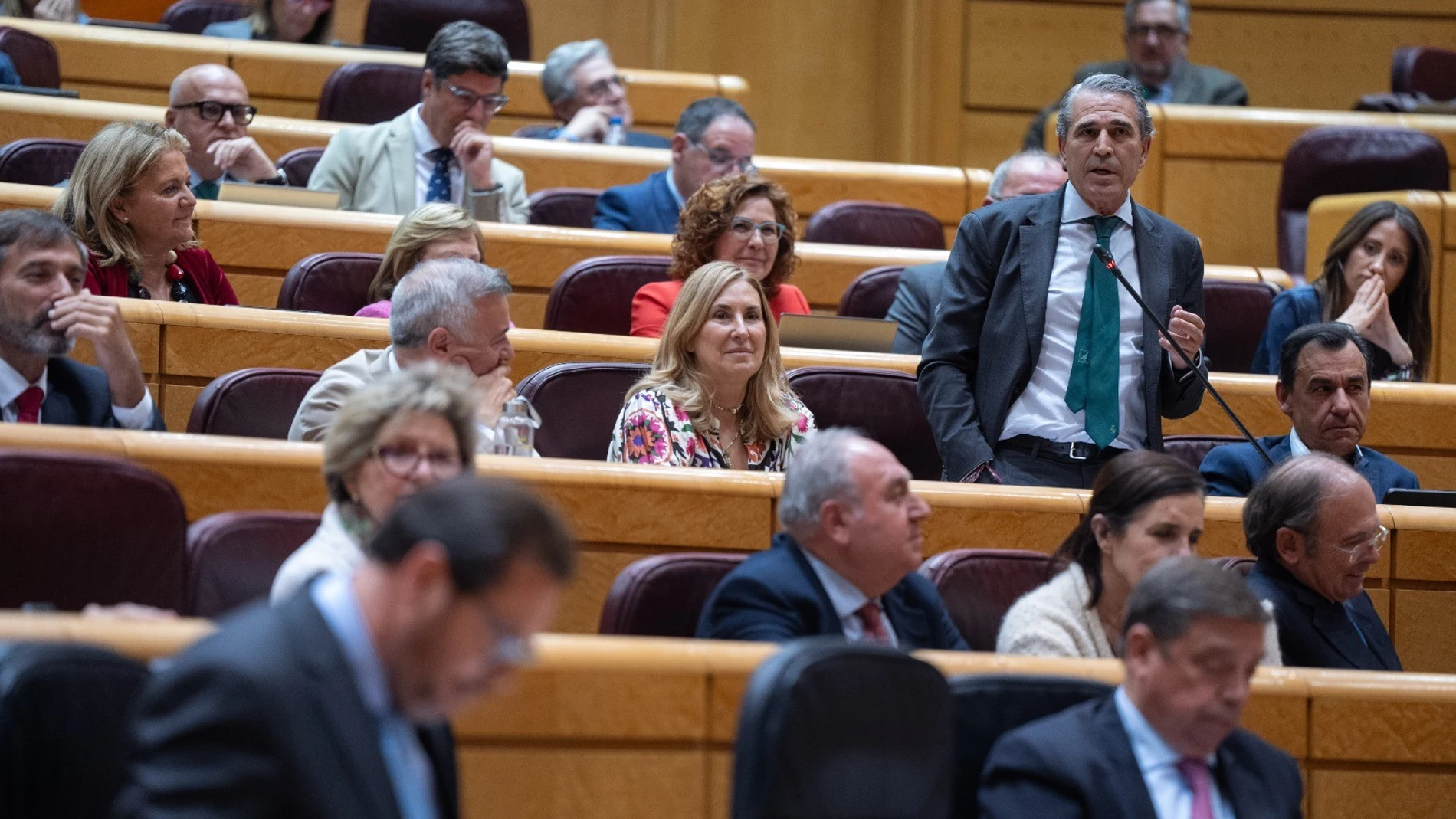 El senador del PP por Segovia, Juan José Sanz Vitorio, pregunta al ministro Óscar Puente