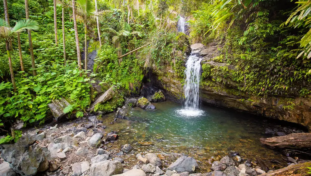 Cataratas de Juan Diego en la selva tropical de El Yunque Puerto Rico durante el día