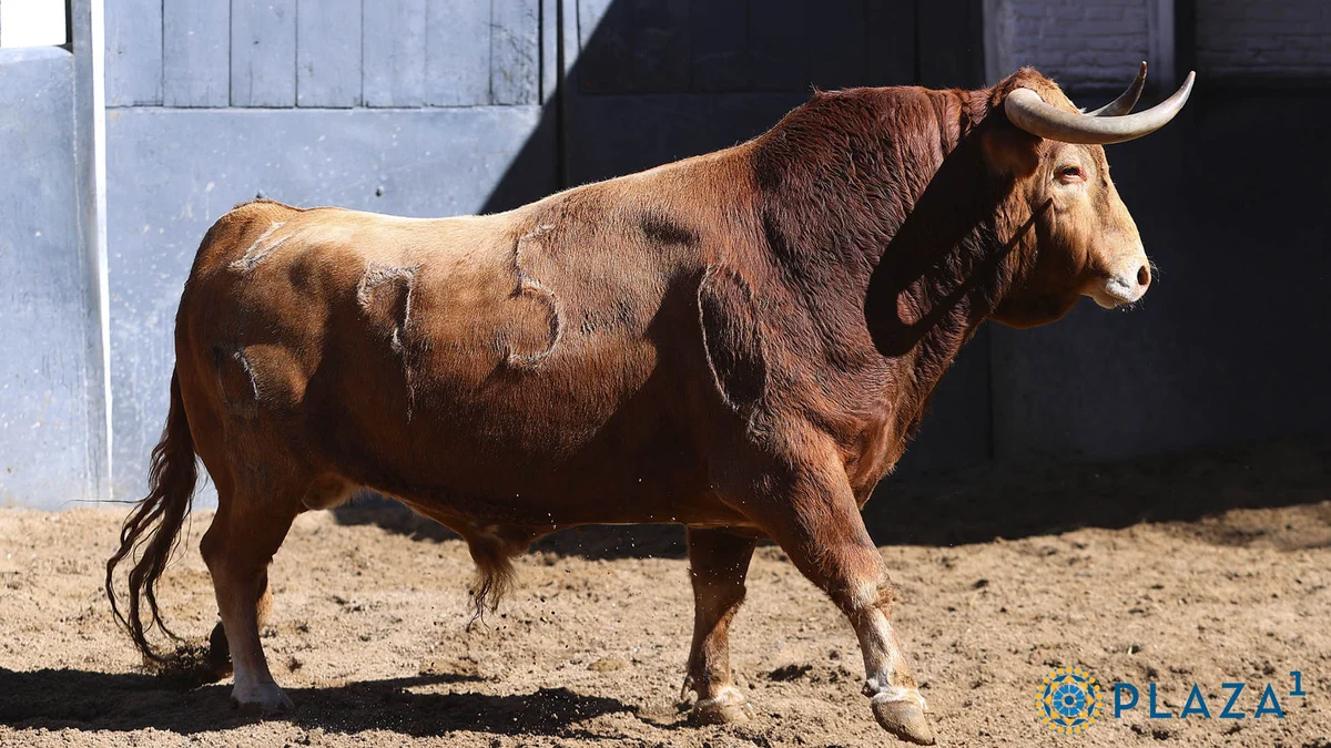 El toro de San Isidro, el más serio y variado