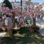 Fiesta de las Flores de Burgos 