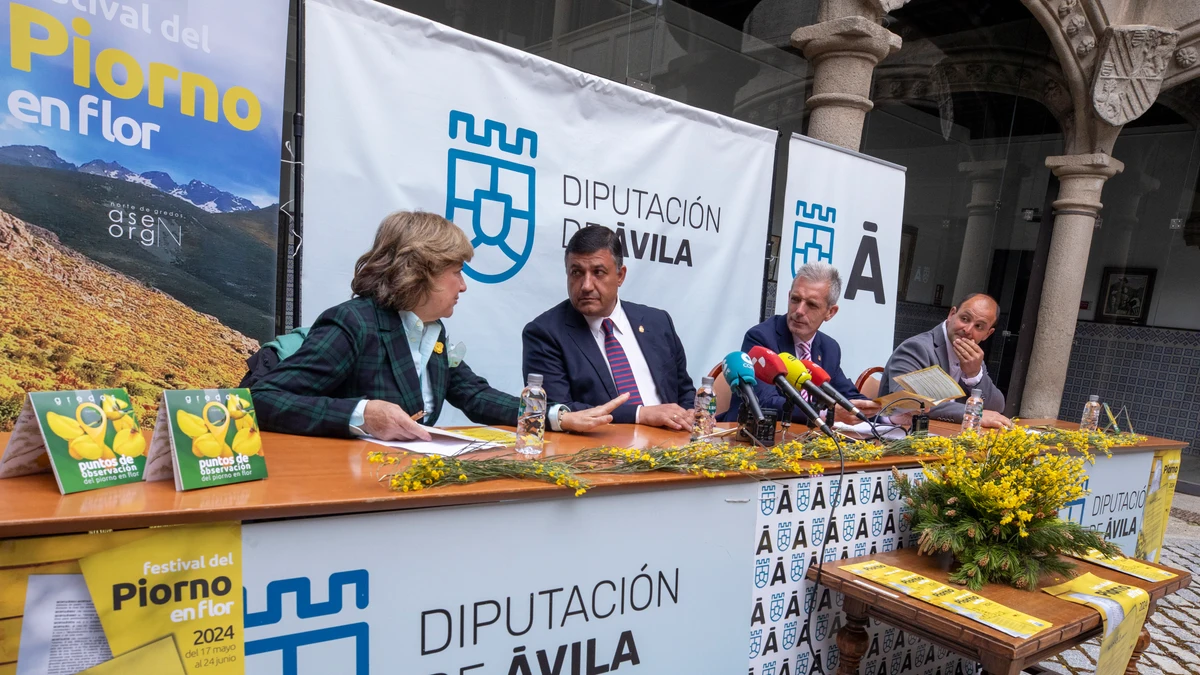 Ávila se teñirá de amarillo con su Festival del Piorno en Flor