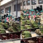 Fragmentos del vídeo viral de unas trabajadoras escuchando Camela 