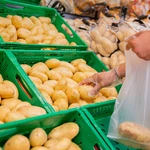Mercadona comercializará hasta octubre más de 34.000 toneladas de patatas de Castilla y León