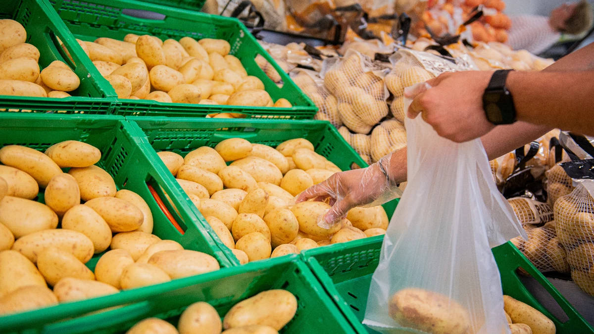 Mercadona comercializará hasta octubre más de 35.000 toneladas de patatas de Castilla y León