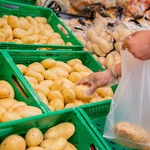 Mercadona.- Mercadona prevé comercializar 1.600 toneladas de patatas de Álava, un 33% más que en la campaña anterior