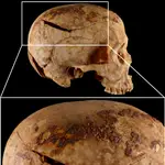 Imagen compuesta de uno de los cráneos estudiados, procedente de la necrópolis de Qubbet el-Hawa