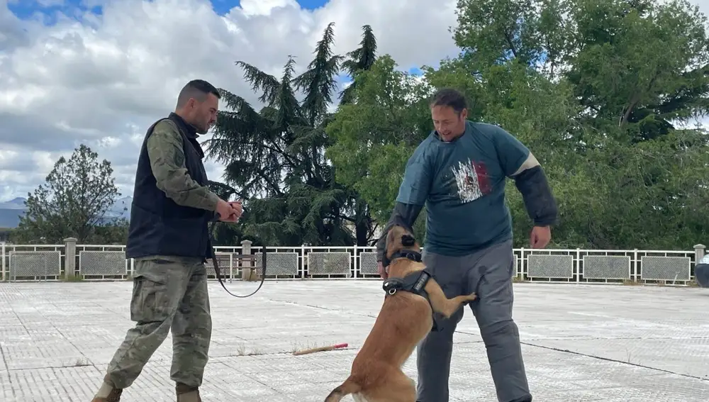 Exhibiciones durante el I Congreso Internacional de Cultura de Defensa en la UCAV
